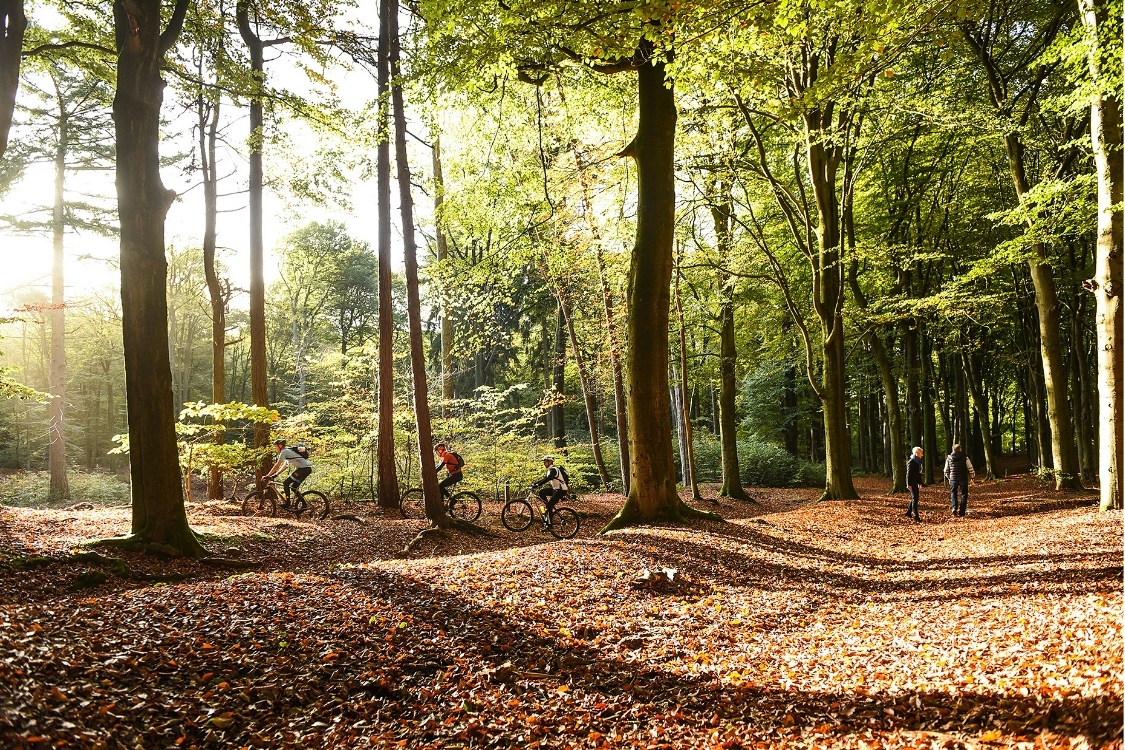 Mountainbikers en wandelaars op de Utrechtste Heuvelrug