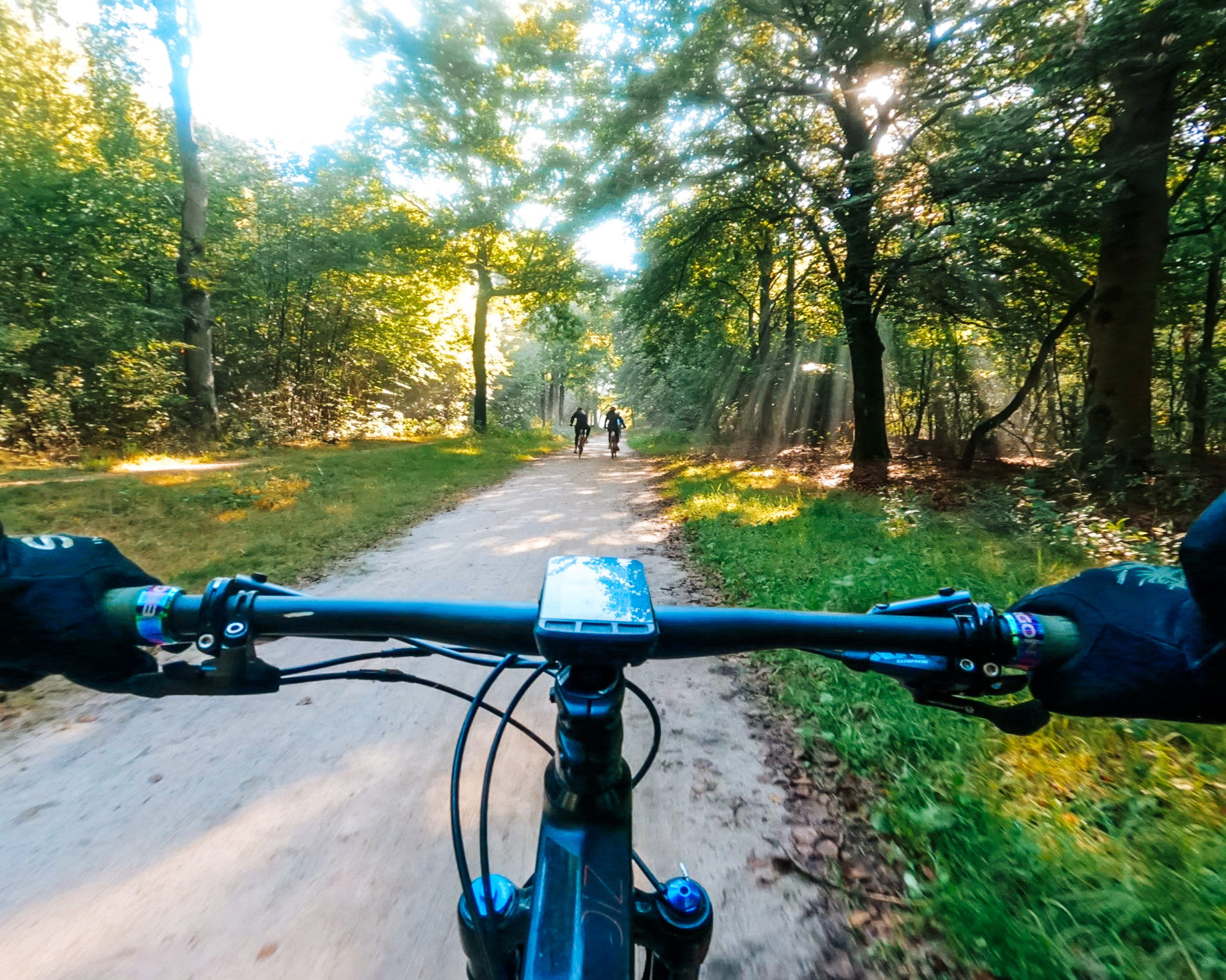 Iemand op de mountainbike in de zon in het bos