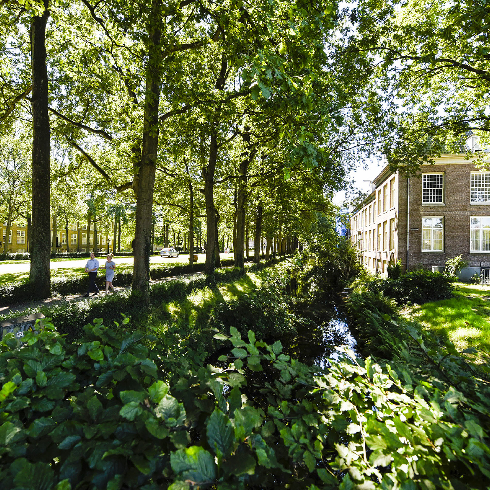 Pad omzoomd door bomen leidt naar Slot Zeist langs de Zuster- en Broederplein.